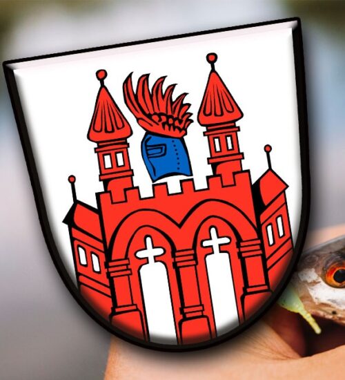 Lehrgang Neubrandenburg 26. – 27.09. 2026
